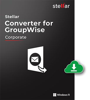 Stellar Converter for GroupWise