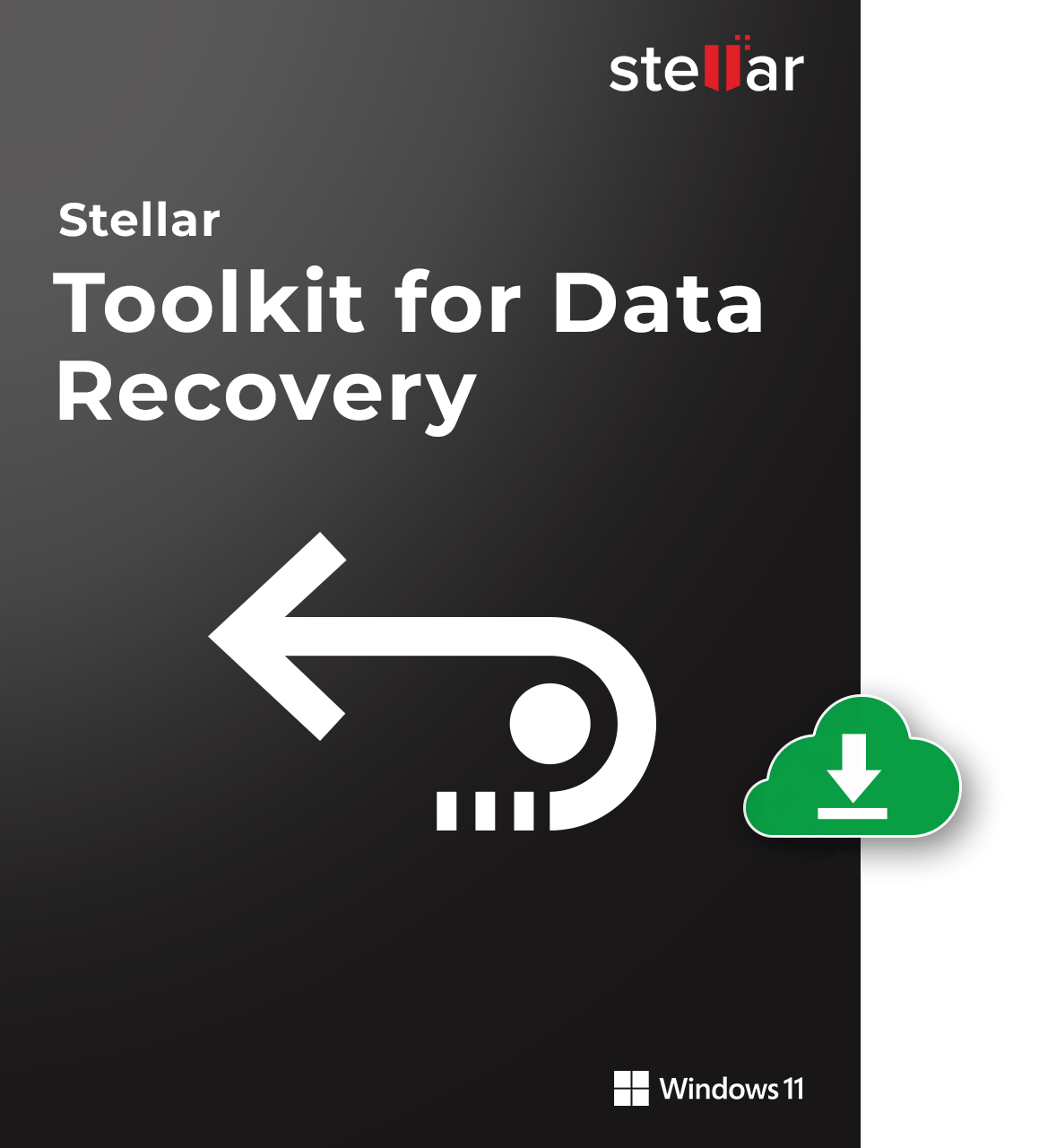 Stellar Toolkit for Data Recovery